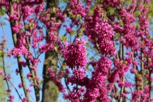 23 ������ 2023 �. ������ � ��������� ����������. ����, �������, �������, �������, �����, �����, ������, �������, �����������, ����� 2023