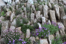 23 ������ 2023 �. ���������� ��������� ����������. ����, �������, �������, �������, �����, �����, ������, �������, �����������, ����� 2023