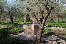 23 ������ 2023 �. ������������ ��� � ��������� ����������. ����, �������, �������, �������, �����, �����, ������, �������, �����������, ����� 2023