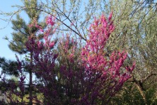 23 ������ 2023 �. ������������ ��� � ��������� ����������. ����, �������, �������, �������, �����, �����, ������, �������, �����������, ����� 2023