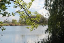 23 ������ 2023 �. ���� ������. ��� �� ������ �-4 �����. ����, �������, �������, �������, �����, �����, ������, �������, �����������, ����� 2023