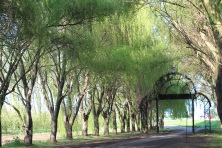 23 ������ 2023 �. ����� �� ��������� ����������. ����, �������, �������, �������, �����, �����, ������, �������, �����������, ����� 2023