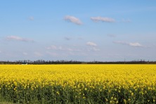 23 ������ 2023 �. �������� ����. ����, �������, �������, �������, �����, �����, ������, �������, �����������, ����� 2023