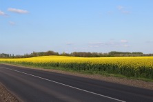 23 ������ 2023 �. �������� ����. ����, �������, �������, �������, �����, �����, ������, �������, �����������, ����� 2023