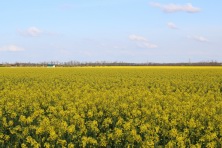 23 ������ 2023 �. �������� ����. ����, �������, �������, �������, �����, �����, ������, �������, �����������, ����� 2023