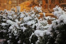 ������� 2020 �. ������� �����. ����, ���� 2020-2021 