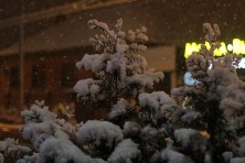 ������� 2020 �. ������� �����. ����, ���� 2020-2021 