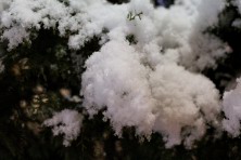 ������� 2020 �. ������� �����. ����, ���� 2020-2021 