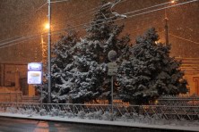 ������� 2020 �. ������� �������. ����, ���� 2020-2021 