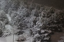 ������� 2020 �. ��� � ������������� ����� �� ��. ��������� ����������. ����, ���� 2020-2021 