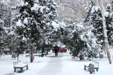 ������� 2020 �. ����, ���� 2020-2021 