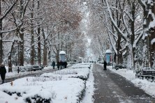 ������� 2020 �. ��. �������. ����, ���� 2020-2021 