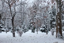 ������� 2020 �. ��. �������. ����, ���� 2020-2021 