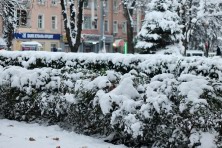 ������� 2020 �. ��. �������. ����, ���� 2020-2021 