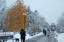 ������� 2020 �. ��. �������. ����, ���� 2020-2021 