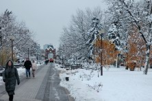 ������� 2020 �. ��. �������. ����, ���� 2020-2021 