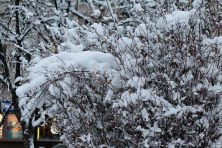 ������� 2020 �. ����, ���� 2020-2021 