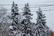 ������� 2020 �. ����, ���� 2020-2021 