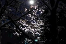 ������� 2020 �. ����, ���� 2020-2021 