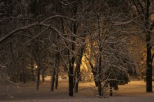 13 ������ 2022 �. ����� ���������. ������������ ����. ��������, �����, ���� 2021-2022 