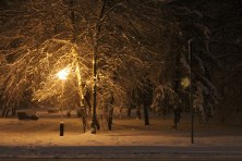 13 ������ 2022 �. ����� ���������. ������������ ����. ��������, �����, ���� 2021-2022 