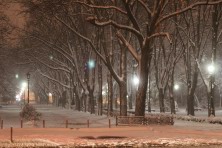 13 ������ 2022 �. ����� ���������. ������������ ����. ��������, �����, ���� 2021-2022 