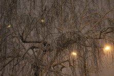 13 ������ 2022 �. ��������, �����, ���� 2021-2022 