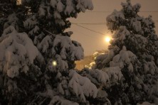 13 ������ 2022 �. ����������� ����: ���������� ����� � ���������. ��������, �����, ���� 2021-2022 