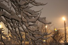 13 ������ 2022 �. ����������� ����: ���������� ����� � ���������. ��������, �����, ���� 2021-2022 