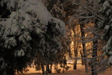 13 ������ 2022 �. ����������� ����: ������� � ������������. ��������, �����, ���� 2021-2022 