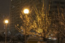 22 ������ 2022 �. ����� ��������. ��������, �����, ���� 2021-2022 