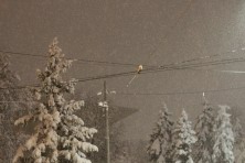 22 ������ 2022 �. ����������� ����: ������� � ����������. ��������, �����, ���� 2021-2022 