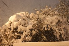 22 ������ 2022 �. ��������, �����, ���� 2021-2022 