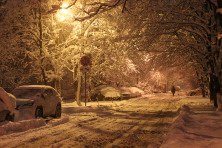 22 ������ 2022 �. ��������, �����, ���� 2021-2022 