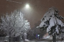 22 ������ 2022 �. ����� ������������. ��������, �����, ���� 2021-2022 