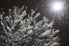 22 ������ 2022 �. ����� ������������. ��������, �����, ���� 2021-2022 