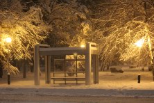 13 ������ 2022 �. ����� ���������. ������������ ����. ��������, �����, ���� 2021-2022 