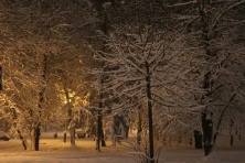 13 ������ 2022 �. ����� ���������. ������������ ����. ��������, �����, ���� 2021-2022 